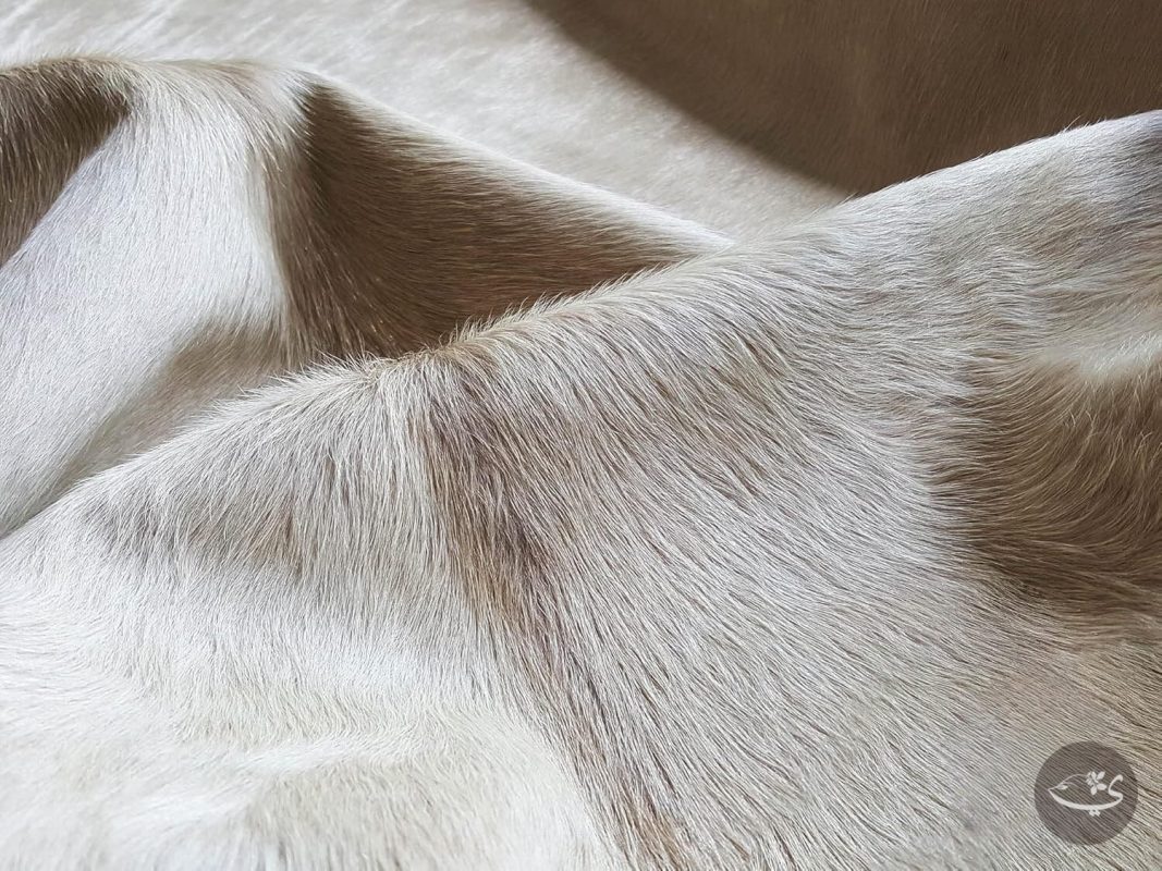 100% Genuine Champagne Cowhide Rug – Modern Style Animal Skin Rug & Floor Carpet for Living - Image 3